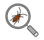 cockroach searching icon